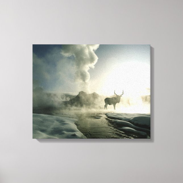 Sunrise Silhouette of Elk at Castle Geyser Canvas Print (Front)