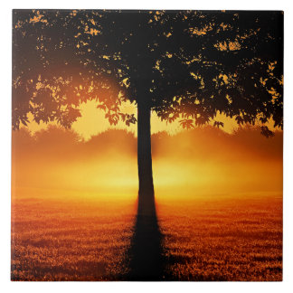 Sunrise Silhouette Tile