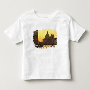 Sunrise sky colours near San Maria Del Giglio Toddler T-Shirt