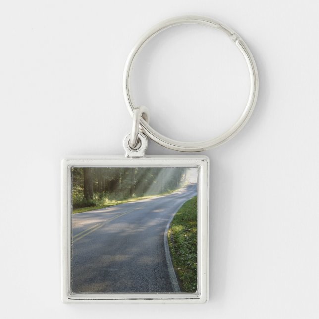 Sunrise through fog alongside Green River Key Ring (Front)