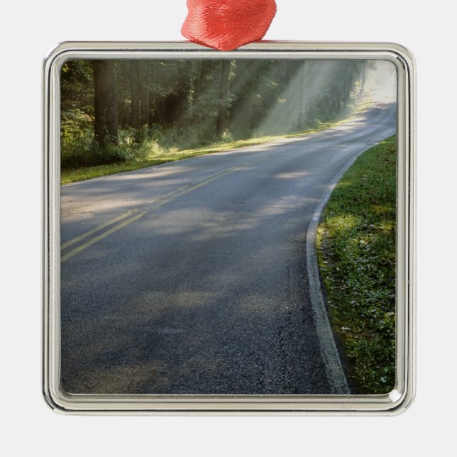 Sunrise through fog alongside Green River Metal Tree Decoration (Front)