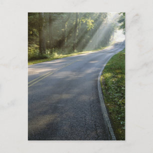 Sunrise through fog alongside Green River Postcard