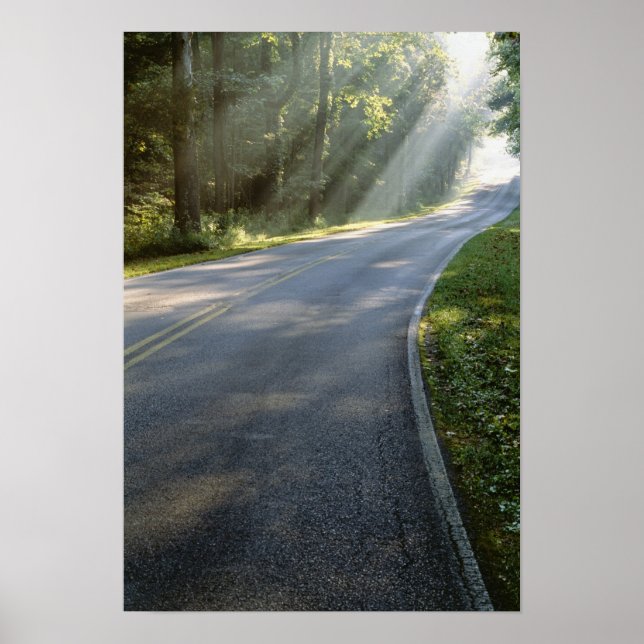 Sunrise through fog alongside Green River Poster (Front)