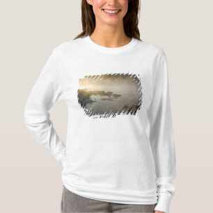 Sunrise through fog in Anderson Bay, Rainy T-Shirt