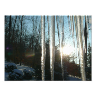Sunrise Through Icicles Winter Nature Photography Photo Print