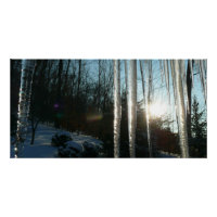 Sunrise Through Icicles Winter Nature Photography