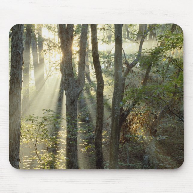 Sunrise through oak and hickory forest, mouse pad (Front)