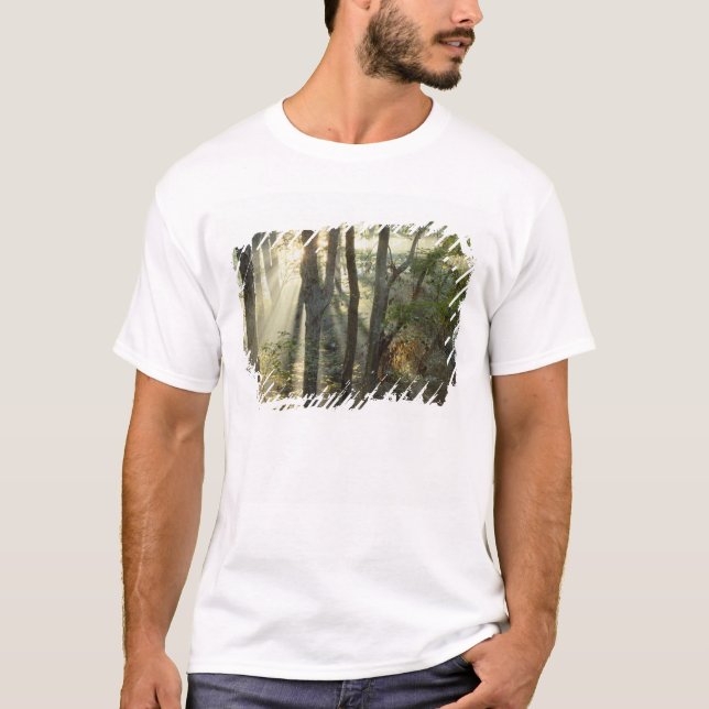 Sunrise through oak and hickory forest, T-Shirt (Front)