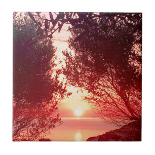 sunrise tile