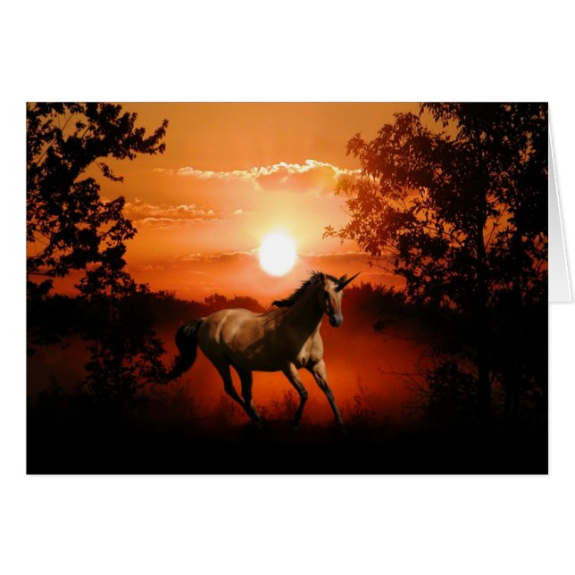 Sunrise unicorn (Front Horizontal)