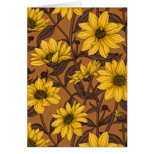 Sunroot, wild sunflower in yellow and  brown