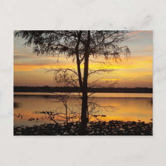 Sunset 138 Florida Post Card