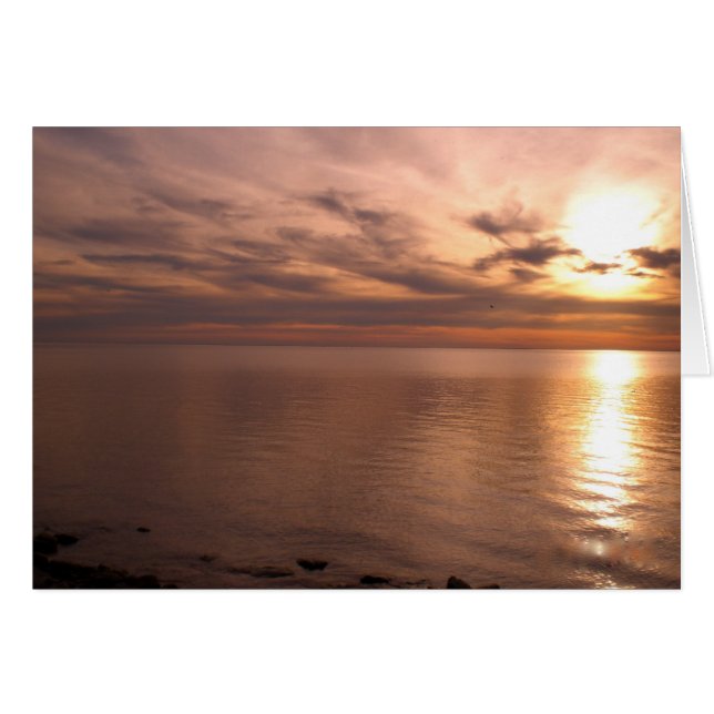 Sunset 4 (Front Horizontal)