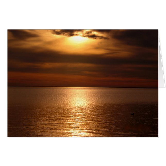 Sunset 5 (Front Horizontal)