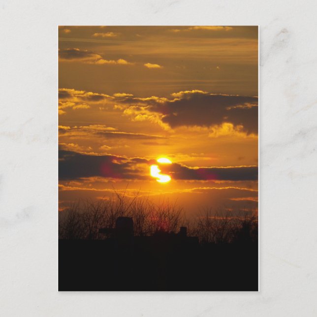 Sunset 5 postcard (Front)