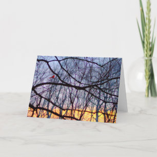 Sunset & A Red Cardinal Blank Greeting Card