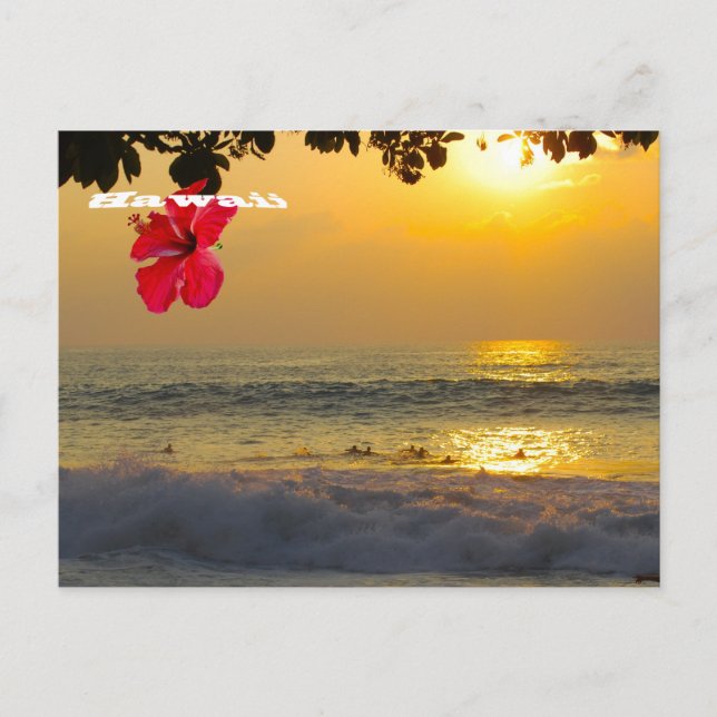 Sunset Aloha from Hawaii Postcard (Front)
