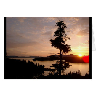 Sunset and Cedar trees