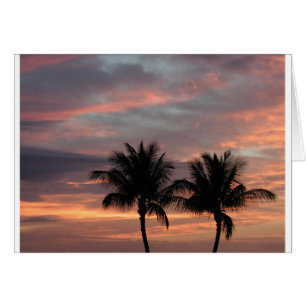 Sunset and palm trees