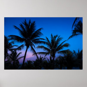 Sunset and Palm Trees Poster