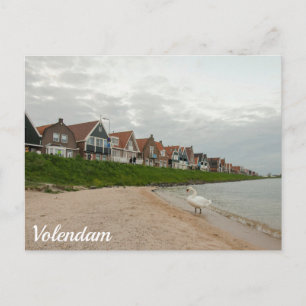 Sunset and swan over Volendam, Netherlands Postcard