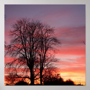 Sunset and Tree Silhouette Poster
