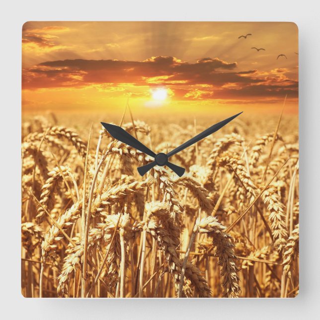 Sunset and Wheat Field Square Wall Clock (Front)