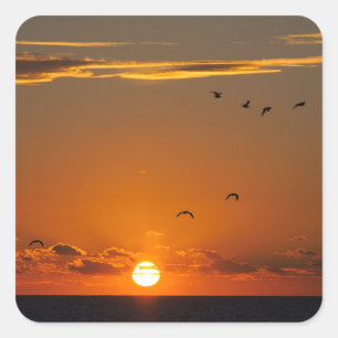 Sunset at Cayeux sur Mer in France  Square Sticker