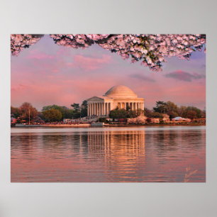 Sunset at Jeferson Memorial with Cherry Blossoms Poster
