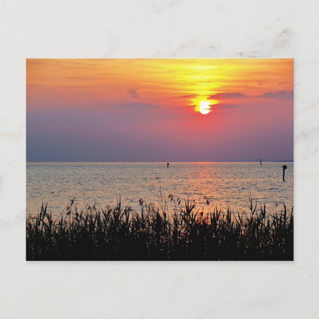 Sunset at Lake Constance in Vorarlberg Postcard (Front)