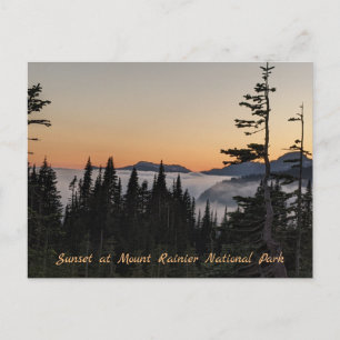 Sunset at Mount Rainier Postard Postcard