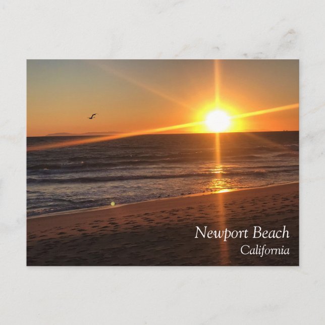 Sunset at Newport Beach, California Postcard (Front)