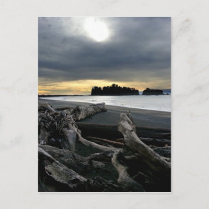 Sunset at Ruby Beach Olympic National Park Postcard