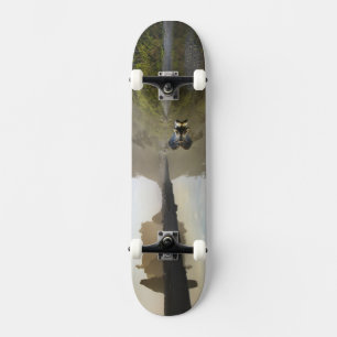 Sunset at Ruby Beach, Olympic National Park, Skateboard