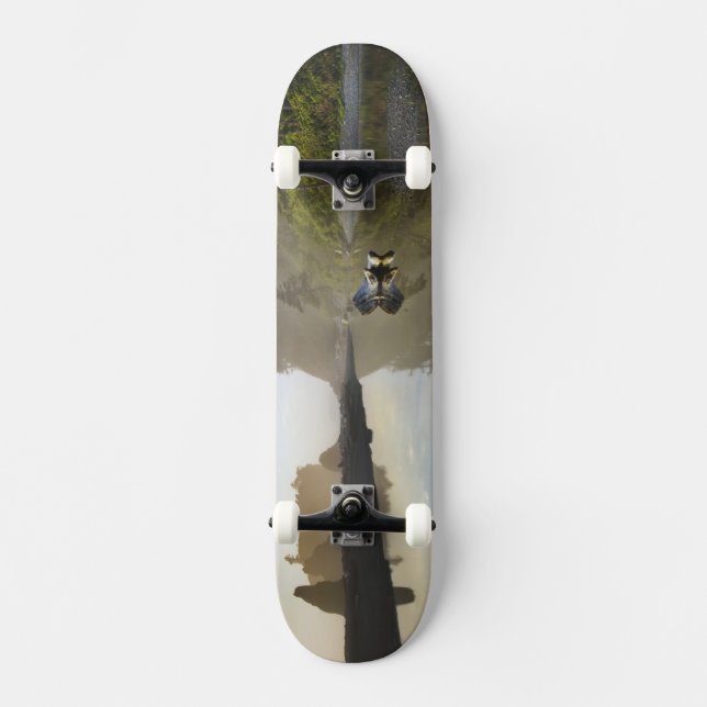 Sunset at Ruby Beach, Olympic National Park, Skateboard (Front)