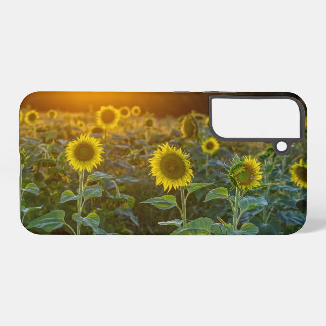 Sunset At Sunflower Field Samsung Galaxy Case (Back Horizontal)
