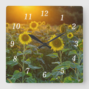 Sunset At Sunflower Field Wall Clock