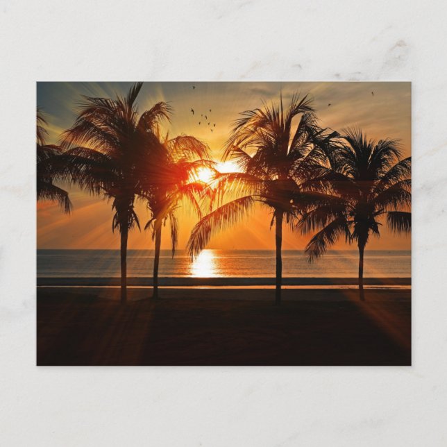 Sunset at the Beach, Tropical Landscape,  Postcard (Front)