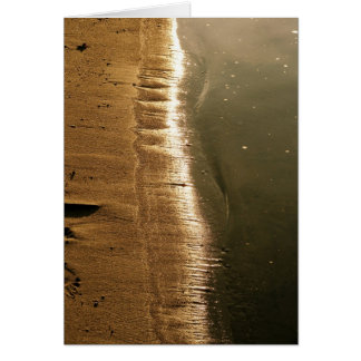 Sunset at the Shoreline