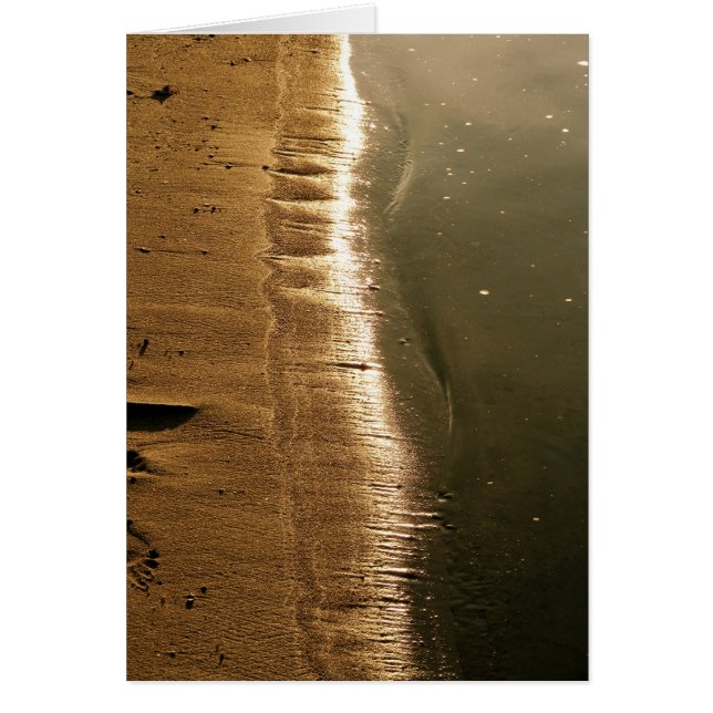 Sunset at the Shoreline (Front)