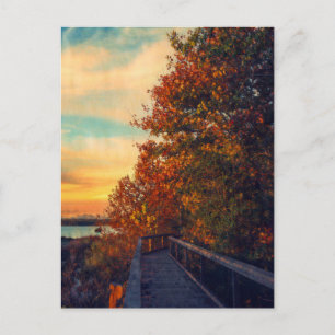 Sunset Autumn Postcard