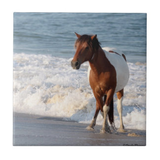 Sunset Beach Horse Tile