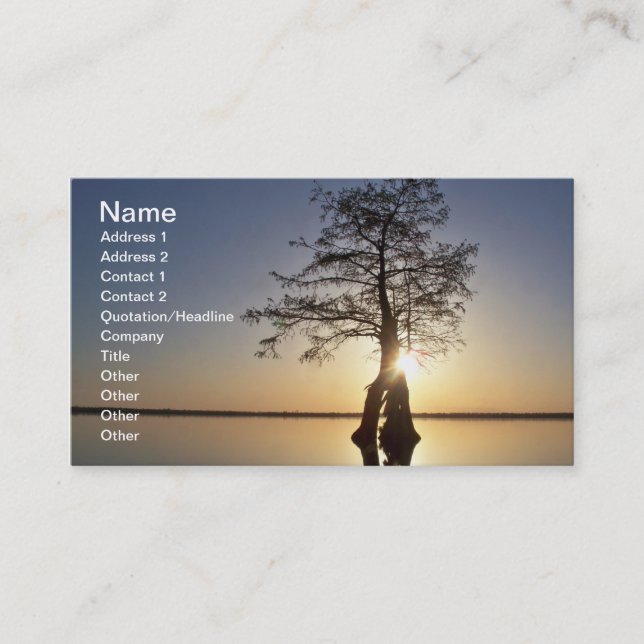 Sunset Behind a Tree Business Card (Front)