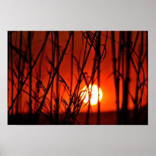 Sunset behind the bamboo poster