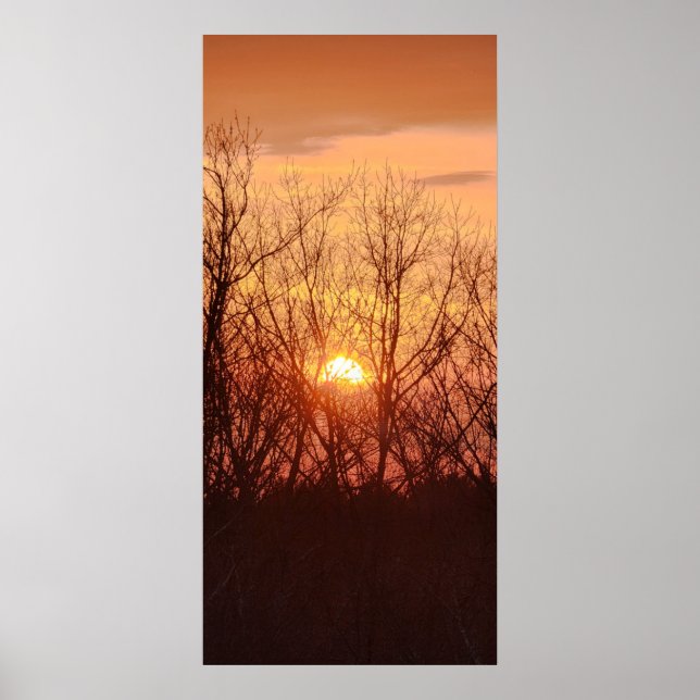 Sunset Behind the Trees Poster (Front)