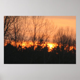 Sunset behind trees poster