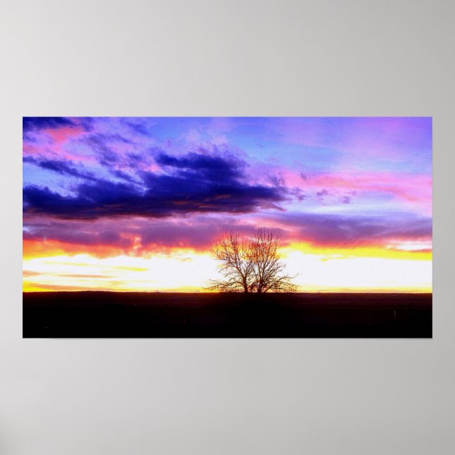 Sunset beyond the Tree_ Poster (Front)
