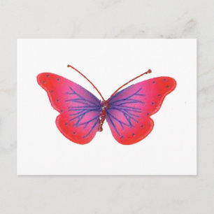 "Sunset Bloom" Red and Purple Butterfly Art Print Postcard