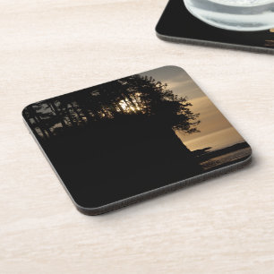 Sunset Bluff Coaster
