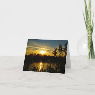Sunset by a pond with reed plumes. thank you card